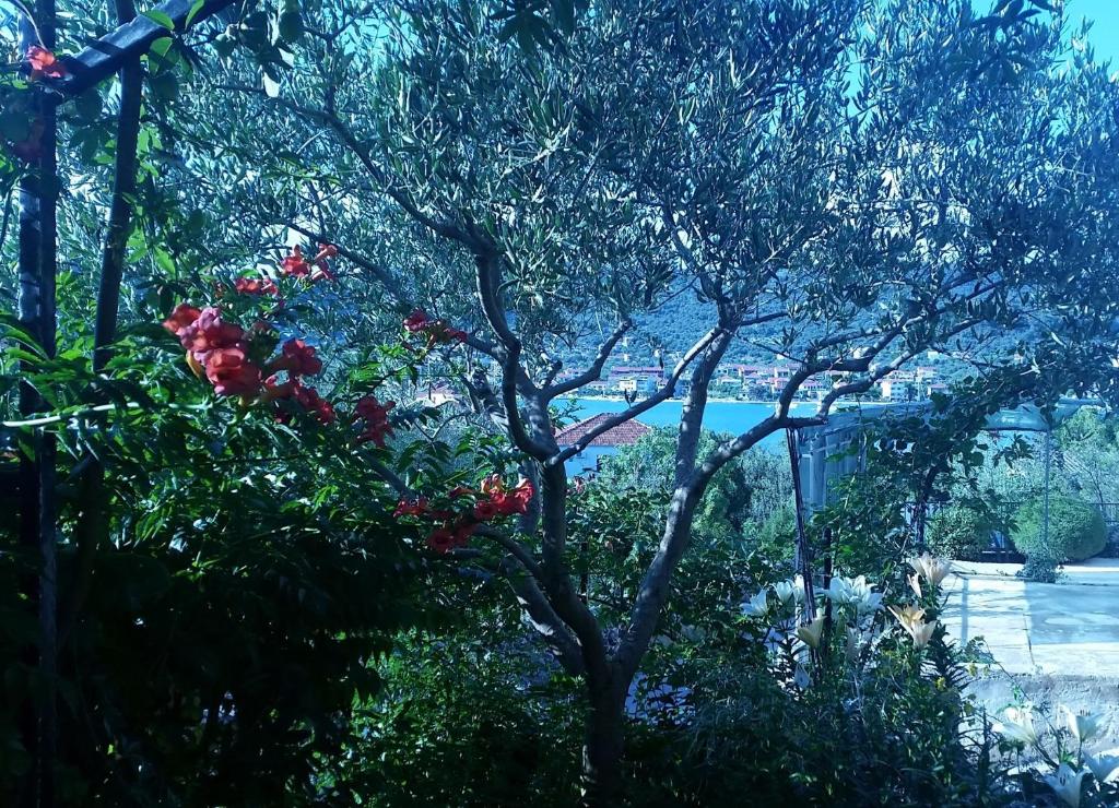 Apartment 1 (2+3), Villa Nada - Vinišće